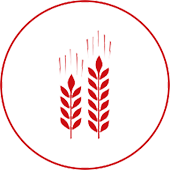 agriculture-icon.png