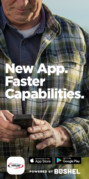 Launch_web-ad_300x600